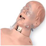 Product Image Critical Airway Management Trainer, With Torso, Adult
