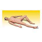 Product Image Crash Kelly, incl Manikin, Lubricant, Assembly Tool kit and Directions