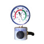 Product Image Rico Valve and Gauge Assembly, for Model RS-4X
