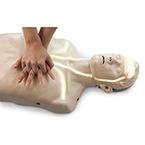 Product Image Brayden CPR Training Manikin