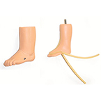 Product Image Infant IV Training Leg, Left Leg