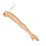 Product Image IV Arm, Left, Adult Female