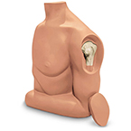 Product Image Humerus Intraosseous Trainer