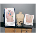 Product Image Deluxe Auscultation Training Station, incl. Trainer, SmartScope and Practice Boards