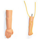 Product Image Infant IV Right Arm