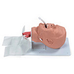Product Image Simulaids Economy Airway Management Trainer, Adult