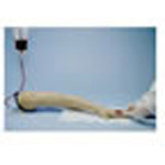 Product Image Life/form Replacement Arm Veins Only for Training Arm, Adult