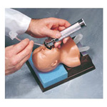 Product Image Neonatal Intubation Trainer