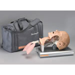 Product Image Intubation Trainer, w/Carrying Case, Access Tray and Lubricant