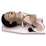 Product Image Airway Management Trainer Manikin w/Stand
