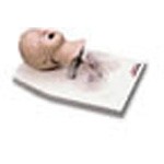 Product Image Life/form Child Airway Management Trainer with Stand