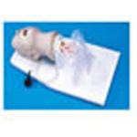 Product Image Airway Larry Trainer Head w/Mount Stand, Pump Spray Lubricant, Hard Carry Case, Adult