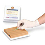 Product Image Nasco Venipuncture Training Aid, 4-Vein Model