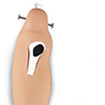 Product Image Replacement I/O Bone Inserts, for the I/O Leg for Stat Patient Simulators
