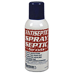 Product Image Antiseptic Spray, 3 oz