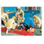 Product Image Triage Tarp, 16 Feet x 20 Feet, Reusable, Black, Matches S.T.A.R.T. Triage Requirements, *Limited QTY*