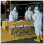 Product Image EMS Decontamination System, Disposable