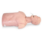 Product Image Airway Management Trainer Torso, with Carry Bag, Adult