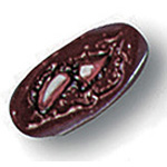 Product Image Simulaids Non-Bleeding Moulages, Small Fracture