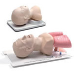 Product Image Airway Management Trainer, Sanitation Kit, Lubricating Jelly, w/Hard Case, Infant Model