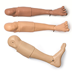 Product Image Adult IO Leg, Light Skin