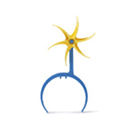 Product Image Windmill Trainer, for Curaplex Peak Flow Meter, Blue/Yellow