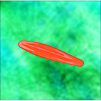 Product Image Bite Stick / Tongue Depressor, Semi Rigid Plastic, Disposable