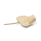 Product Image Neck Pad, Laerdal, IV Torso Trainer, Replacement