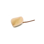 Product Image Femoral Pad, Laerdal, Replacement, IV Torso Trainer