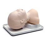 Product Image Airway Management Trainer, Infant, Manikin, Airway Lubricant, Directions for Use