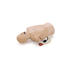 Product Image Difficult Airway Trainer, Deluxe, Torso, 6 Neck Skin Collars, Cricothyroid Membrane Tape, Lubricant