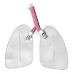 Product Image Lung, Training, Replacement, Life/Form, Airway management Trainer Manikins