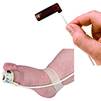 Product Image Pulse Oximeter Sensor Wrap, PureLight, Foot, Infant, Patient Range 2-20 kg, Adhesive, Disposable